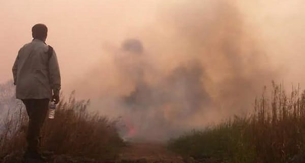 Fighting fires and haze in Indonesia