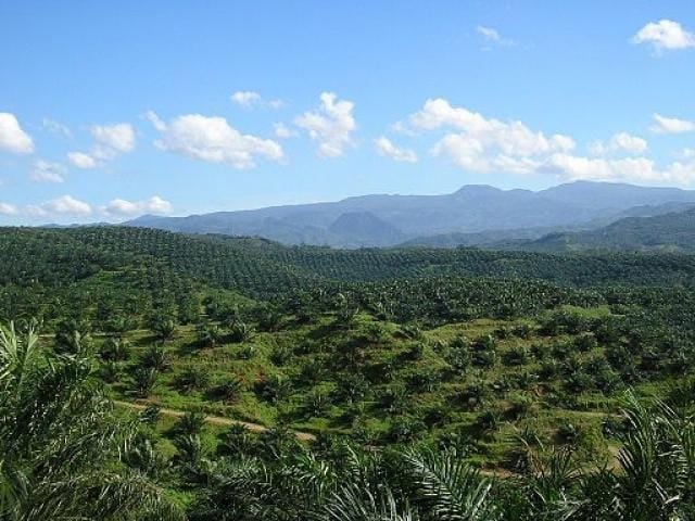 Regional Peat Restoration Workshop