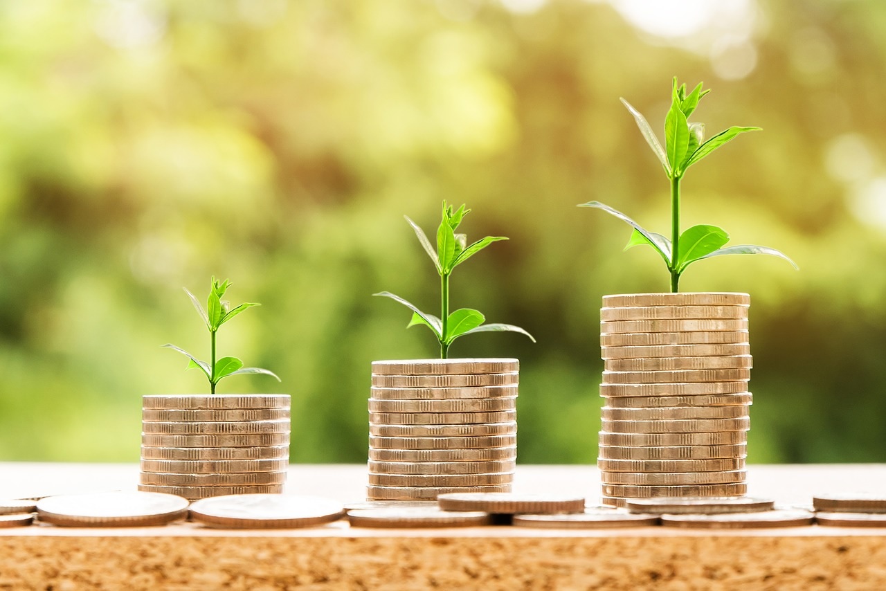 Budgeting to grow the new green economy