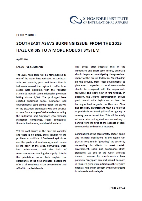 Policy Brief: Southeast Asia’s Burning Issue: From the 2015 Haze Crisis to a More Robust System