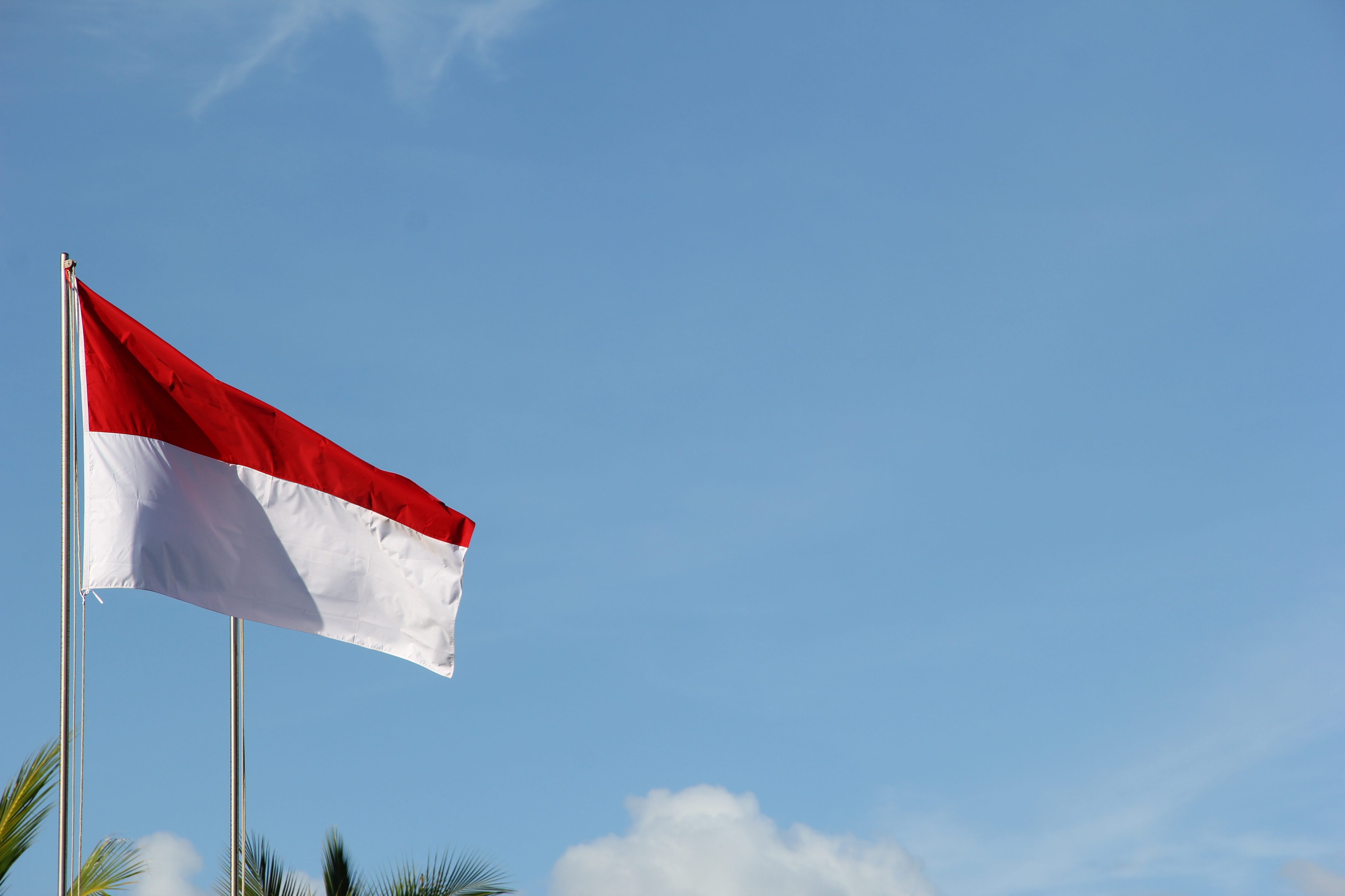 The Impact of Fake News and Disinformation on Indonesian Politics