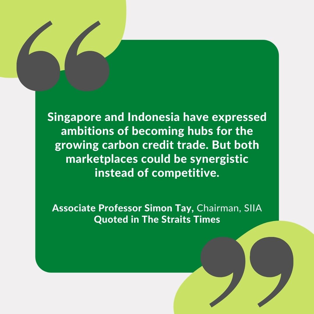 S’pore, Indonesia can reap carbon trading synergies: Analyst (The Straits Times)