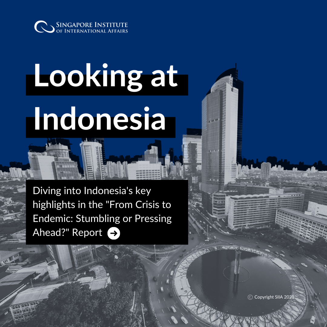 Indonesia’s journey From Crisis to Endemic: Stumbling or Pressing Ahead?” report