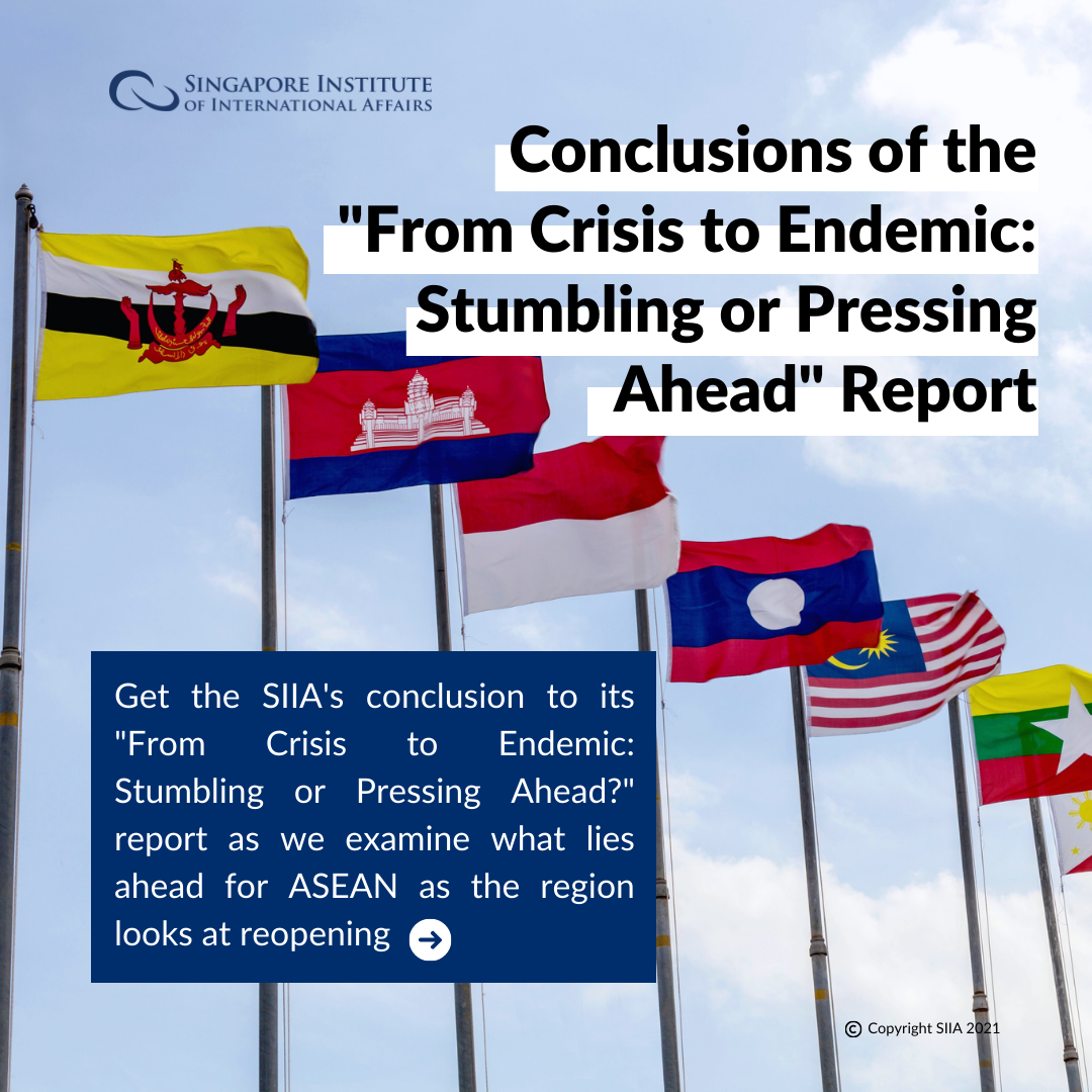 Conclusions of the “From Crisis to Endemic: Stumbling or Pressing Ahead” Report